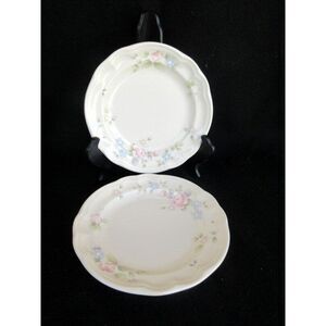 Pfaltzgraff Tea‎ Rose Set of 2 Salad Plates Pink Roses/Blue Flowers Scalloped